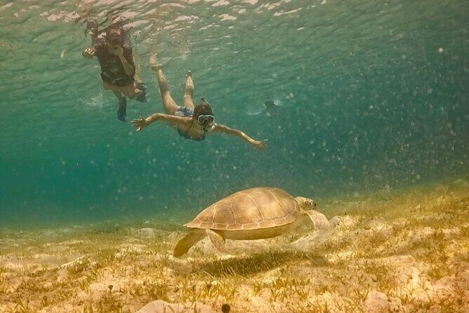 St John -Jeep Ride with A Guide! Customize Itinerary Your Way! - Frequently Asked Questions