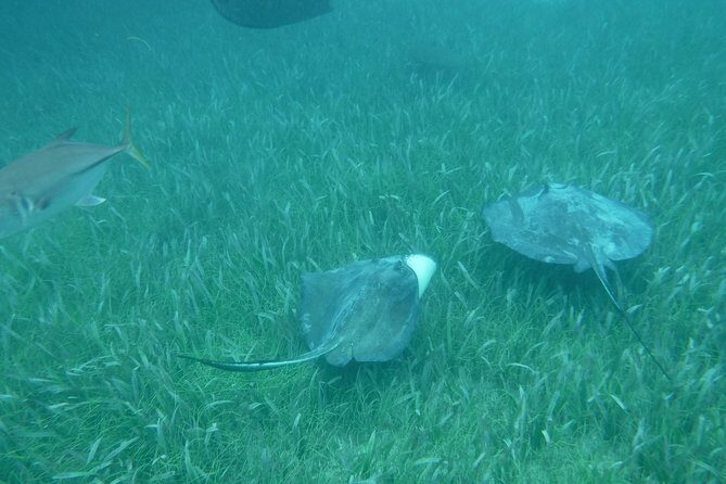 St John & Surrounding Cays - Full-Day Sail/Snorkel, 6 Guests Max - Authentic Experiences: What Guests Say