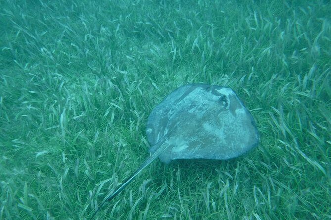 St John & Surrounding Cays - Full-Day Sail/Snorkel, 6 Guests Max - Practical Details for Your Trip