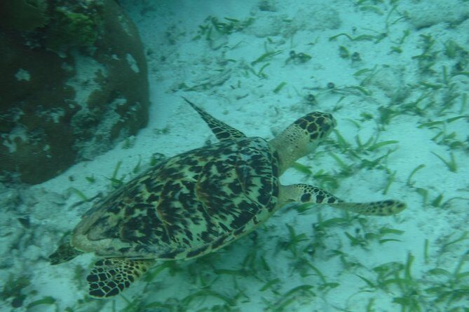 St John & Surrounding Cays - Full-Day Sail/Snorkel, 6 Guests Max - The Sum Up