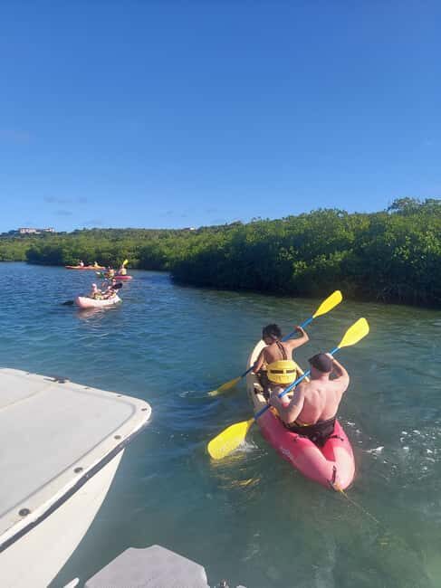 St. John's, Antigua Kayak, Snorkeling, & Beach Bird Island - Introduction to the Antigua Kayak, Snorkeling & Beach Tour