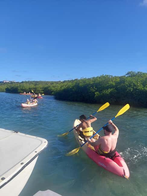 St. John's, Antigua Kayak, Snorkeling, & Beach Bird Island - Who Will Love This Tour?