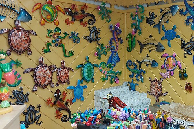 St. John's City Private Tour including Fort James - The Sum Up