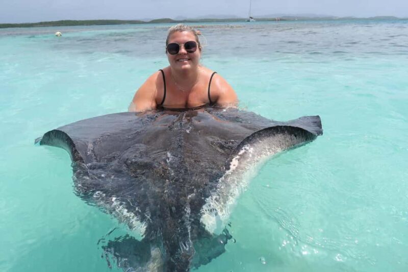 St. John's; Combo Laviscount Island & Swimming with Stingray - Key Points