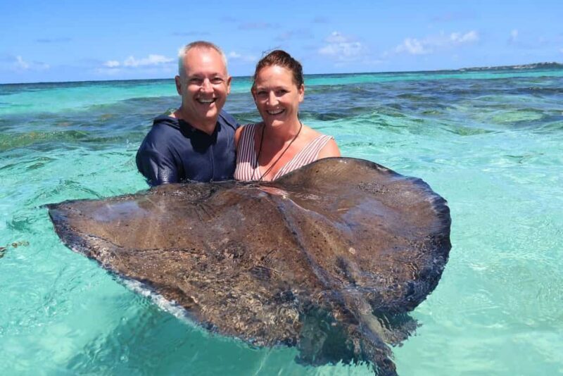 St. John's; Combo Laviscount Island & Swimming with Stingray - What to Expect from the Tour