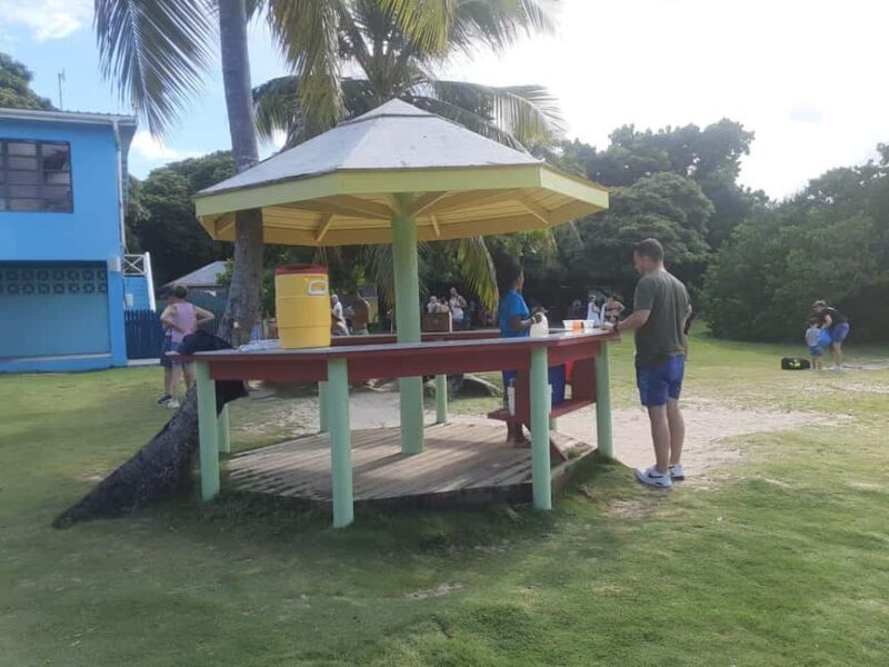 St. John's; Combo Laviscount Island & Swimming with Stingray - Who Should Consider This Tour?