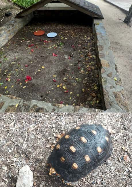 St. John's; Combo Laviscount Island & Swimming with Stingray - The Sum Up