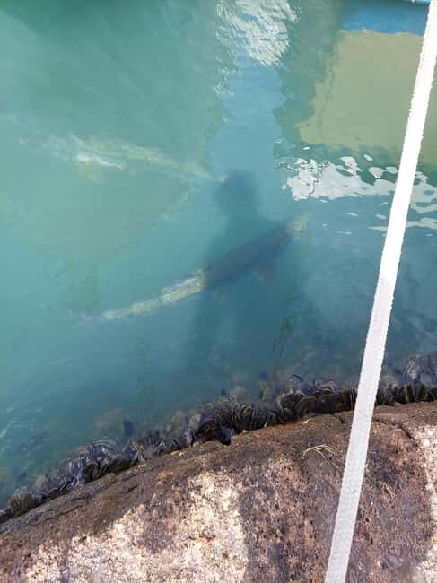 St. John's: Discover The Real Antigua Island Tour Experience - An Honest Look at the Antigua Island Tour