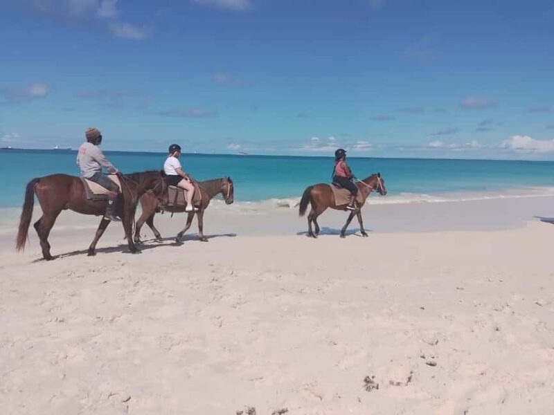 St. Johns: Horseback Riding Bareback Swim, &Fort James Beach - An In-Depth Look at What You Can Expect