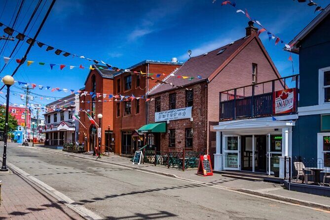 St. John's Local Pub Tour & History Lesson - Practical Details and Considerations