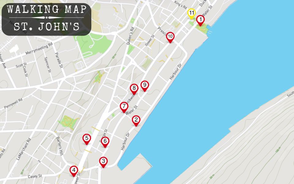 St. Johns, NL: Murder Mystery Detective Experience - Key Points