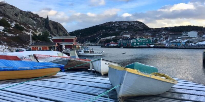 St Johns Premium Tour with Iceberg Quest Boat Cruise - The Sum Up