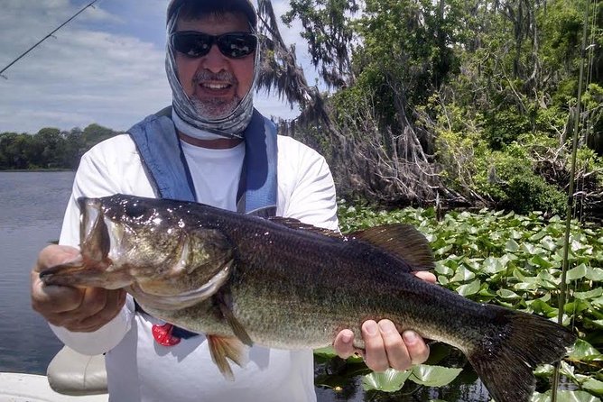 St Johns River Fishing Trips Near Daytona Florida - Tips for an Enjoyable Experience