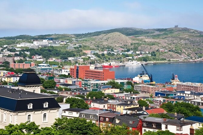 St. John'S Small Group Tour With Iceberg Quest Boat Cruise - Whale Sightings and Crew