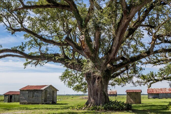 St. Joseph and Felicity Plantation Combo Tour - Who Will Love This Tour?