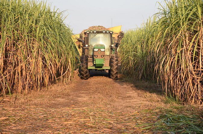 St. Joseph and Felicity Plantation Combo Tour - FAQ