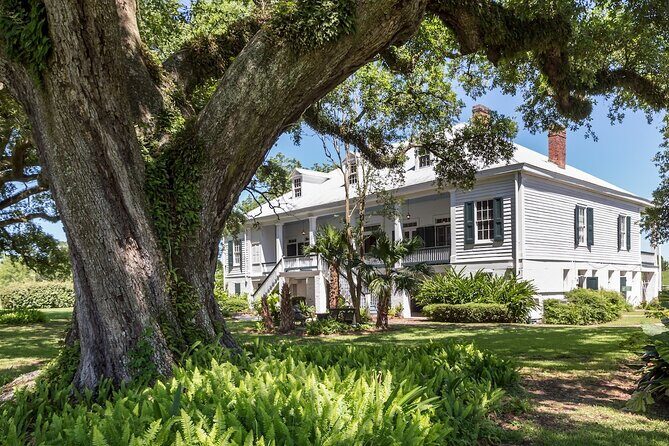 St. Joseph Plantation Tour - Why You Should Consider This Tour