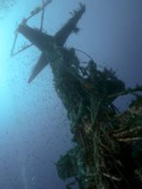 St Julians: Discover Scuba Diving Experience - Good To Know