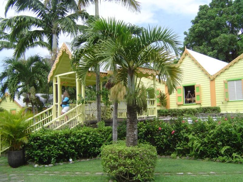 St. Kitts Island Half-Day Bus Tour - FAQs