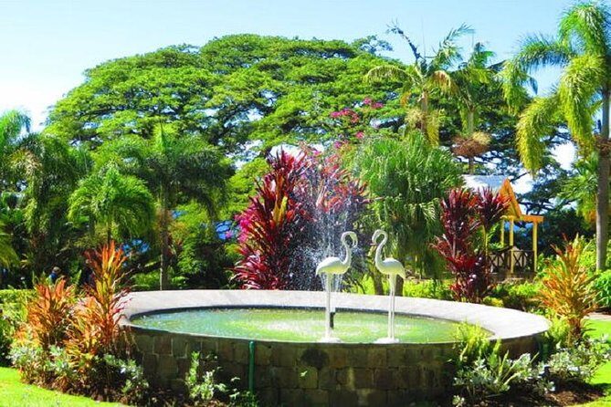 St Kitts Island Tour (Reconfirm Ship or Hotel) - Key Points