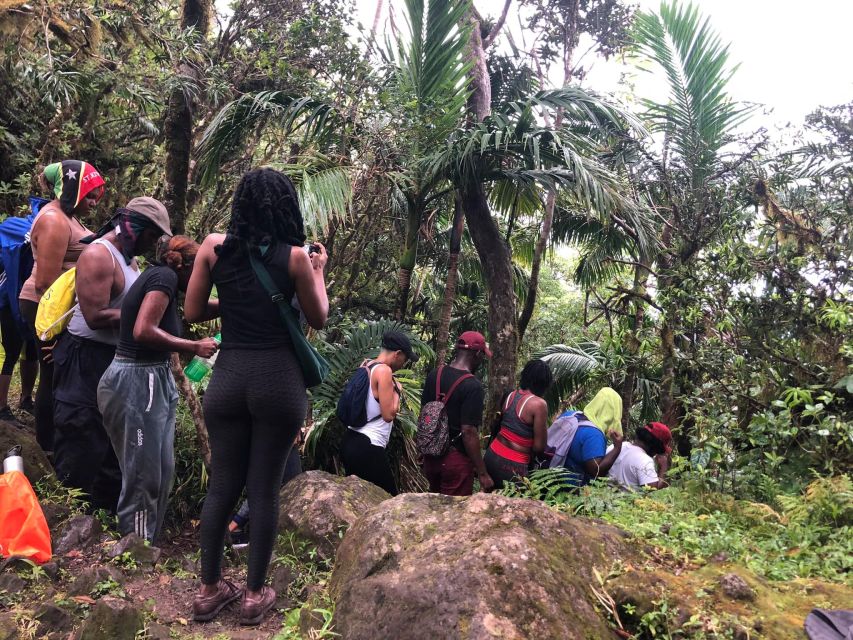 St. Kitts Mount Liamuiga Volcano Hike - Inclusions