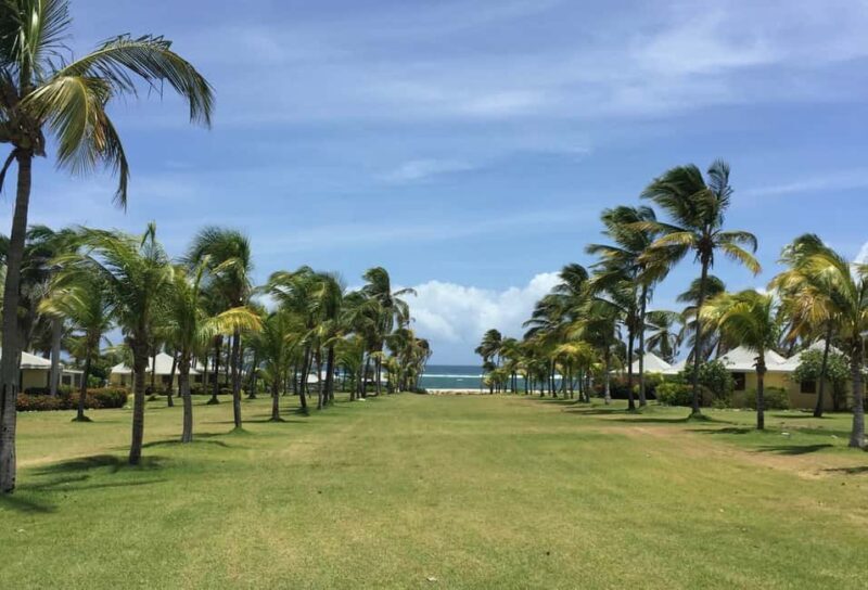 St. Kitts: Nevis Island Tour and Beach Time with Lunch - Authenticity and Cultural Insights