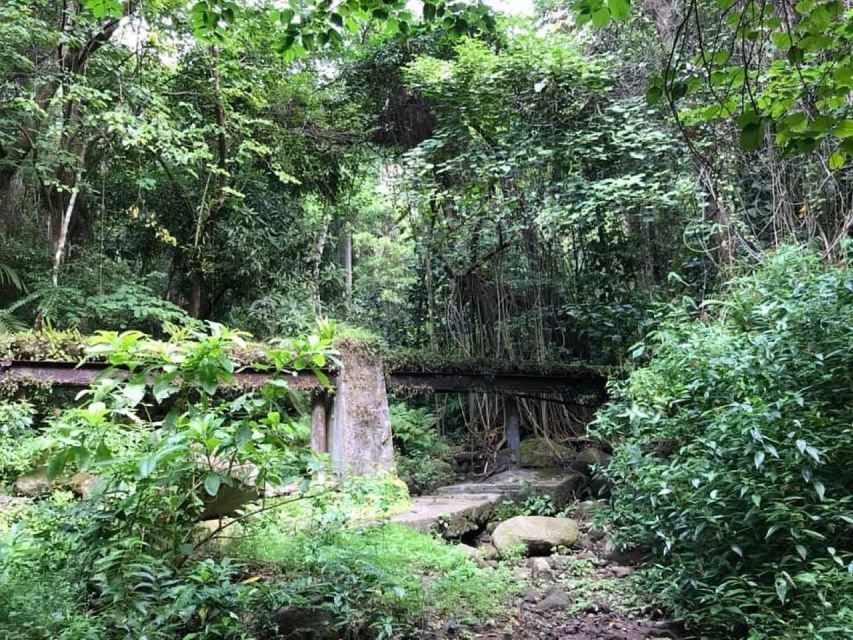 St. Kitts: Rainforest Eco Adventure Guided Hike - Explore the Tropical Rainforest