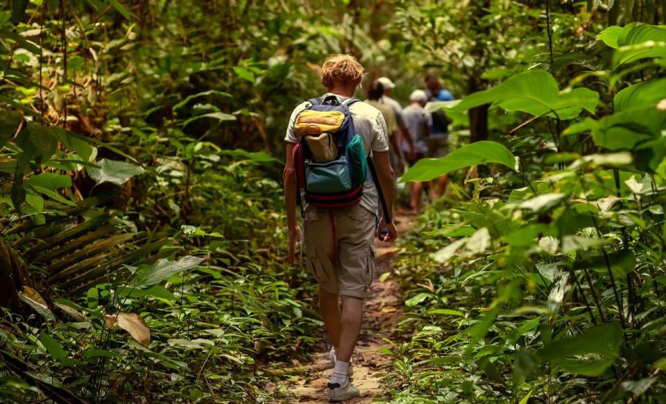 St. Kitts: Rainforest Eco Adventure Guided Hike - Frequently Asked Questions