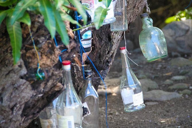 St. Kitts Rainforest Tour - Practical Details for Travelers