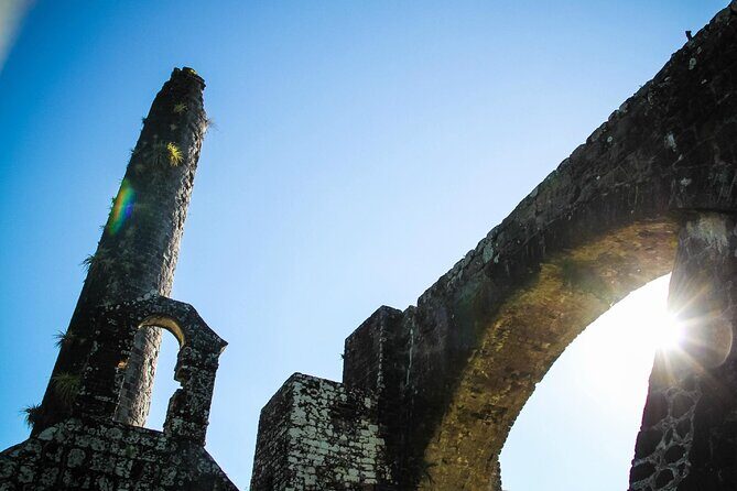 St. Kitts Rainforest Tour - Authentic Experiences and Travelers’ Feedback