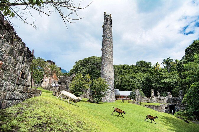 St Kitts Rainforest Tour - Frequently Asked Questions