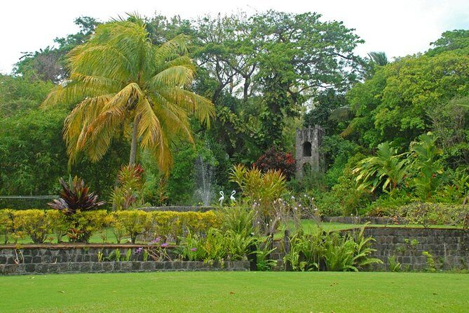 St Kitts Rainforest Tour - Final Thoughts