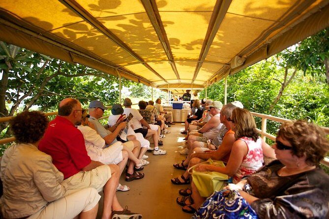 St Kitts Scenic Train Tour (Hotel or Ship) - Practical Details to Know