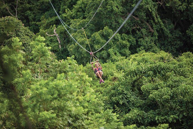 St. Kitts Zipline Experience - Key Points