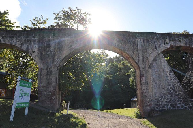 St. Kitts Zipline Experience - Who is This Tour Best Suited For?