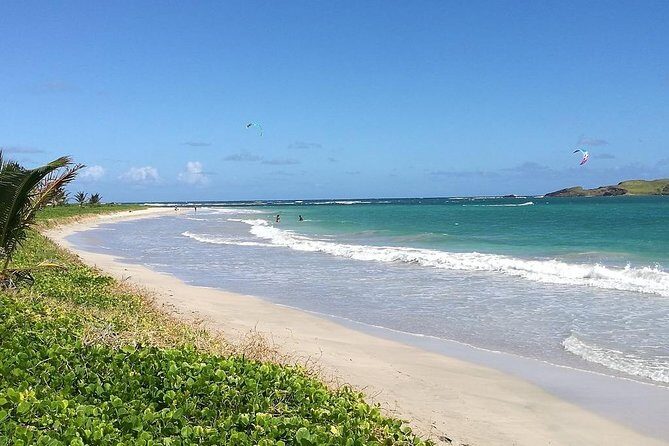 St. Lucia 360 Island Tour - Authentic Experiences and Reviewer Insights