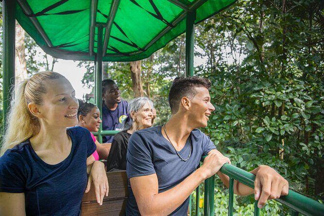 St. Lucia Aerial Tram Tour at Rainforest Adventures - An Introduction to the Rainforest Adventure