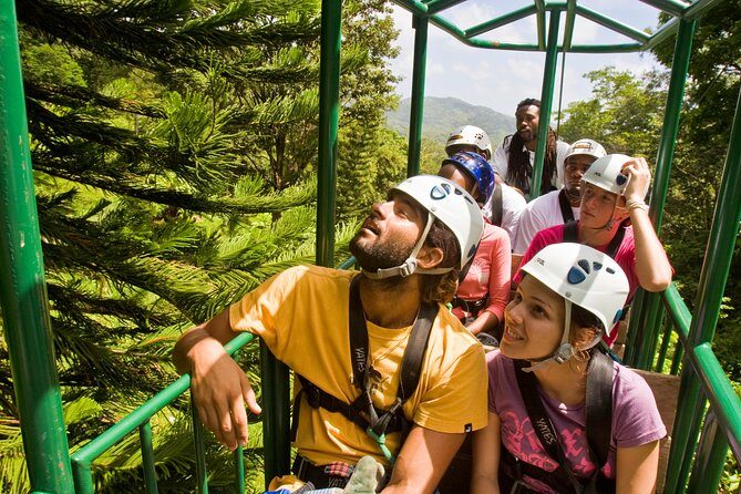 St. Lucia Aerial Tram Tour at Rainforest Adventures - Authentic Guest Perspectives
