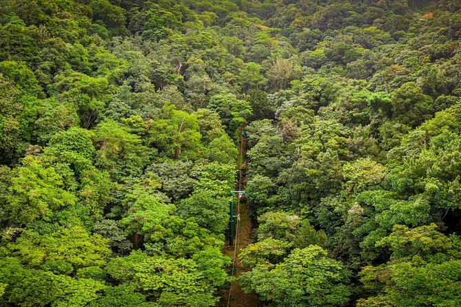St. Lucia Aerial Tram Tour at Rainforest Adventures - Tips for an Enjoyable Experience