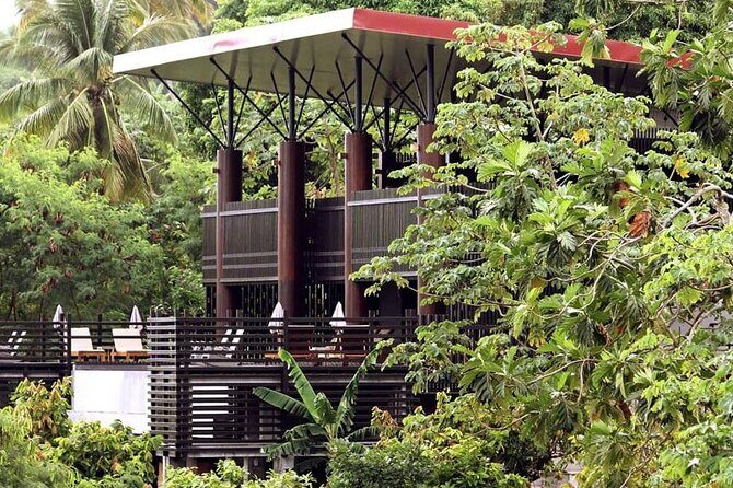 St Lucia Airport Transfer to Hotel Chocolat - The Experience: What to Expect