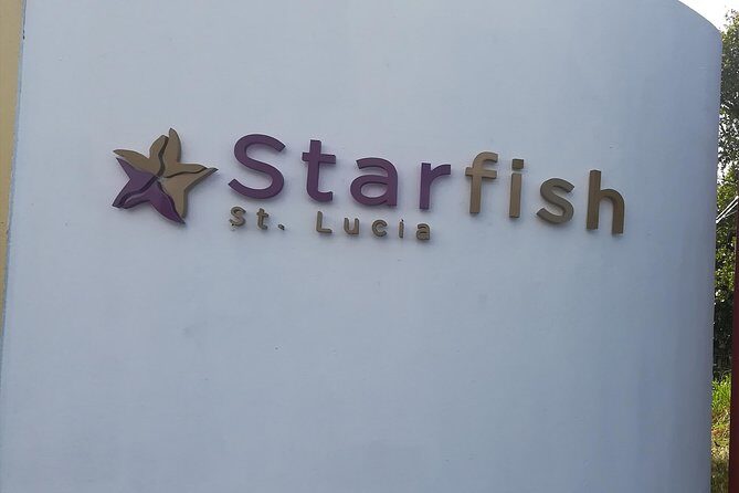 St Lucia Airport Transfer to Starfish St Lucia - Who Should Consider This Transfer?