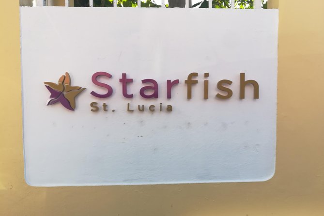 St Lucia Airport Transfer to Starfish St Lucia - Accessibility and Additional Information