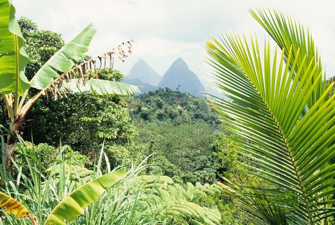 St Lucia ATV Tours (Best on Island) - Good To Know