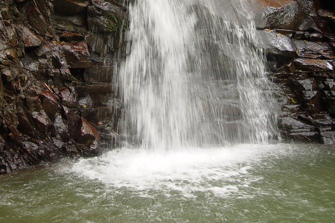 St Lucia Bike and Hike - Participant Feedback