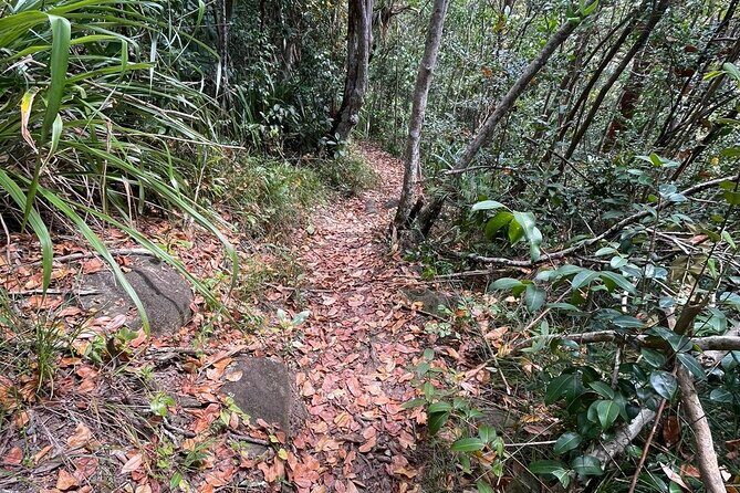 St Lucia Billy Goat Trail Hike in Marigot Bay Saint Lucia - Authentic Insights from Travelers