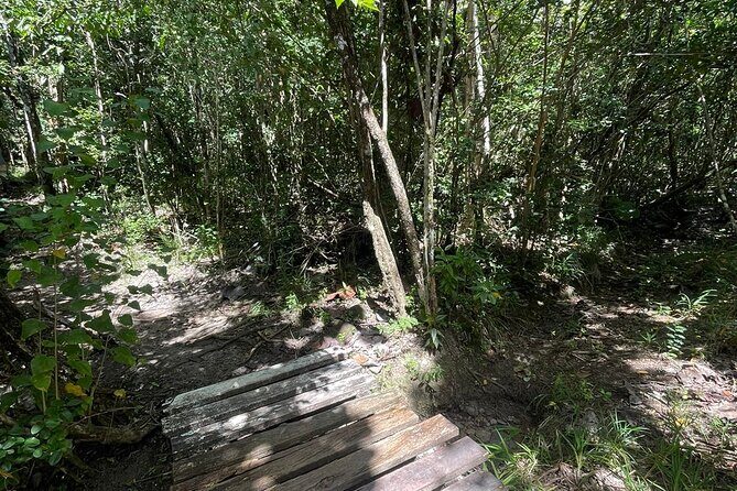 St Lucia Billy Goat Trail Hike in Marigot Bay Saint Lucia - The Sum Up: Why It’s a Great Choice for Your Trip