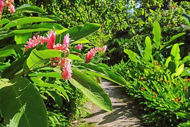 St. Lucia Botanical Gardens and Waterfall Tour Groups only - Key Points  