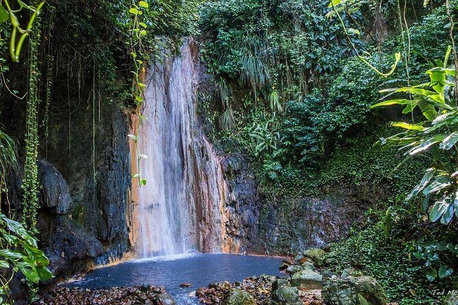 St. Lucia Botanical Gardens and Waterfall Tour Groups only - Transportation and Group Size  