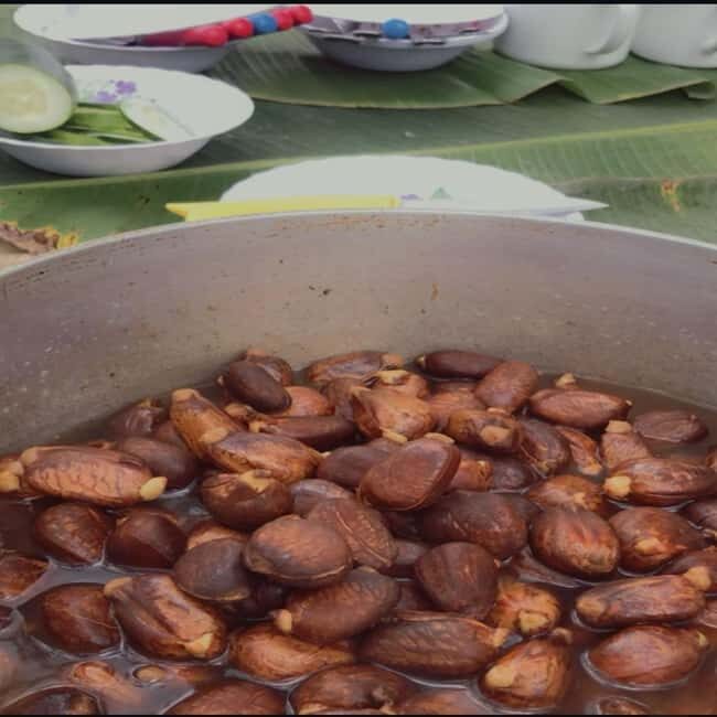 St. Lucia: Food and Rum Tasting Experience - Key Points