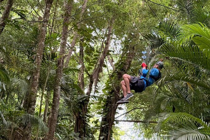 St. Lucia Horseback Riding & Zip Lining Adventure Tour - What Makes This Tour Stand Out?